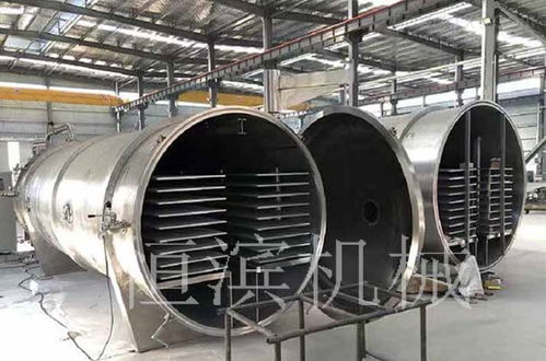 解鎖天然美味與營養 低溫冷凍干燥機在果蔬休閑食品領域的革命